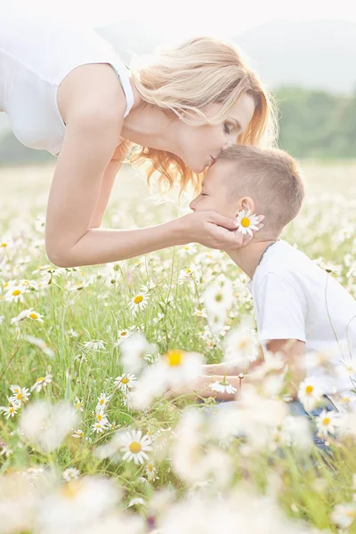 Matka, baví se svým synem v poli květ heřmánku — Stock fotografie