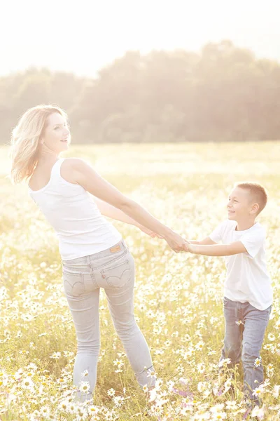 Matka, baví se svým synem v poli květ heřmánku — Stock fotografie