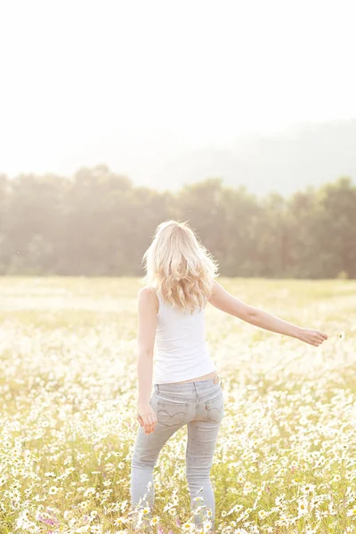 Schöne Frau genießt Gänseblümchen-Feld, schöne Frau legt sich in — Stockfoto