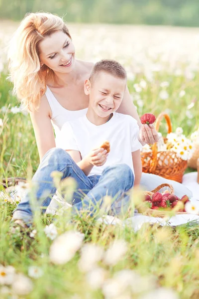 Moeder hebben picnic met zijn zoon op het gebied van de bloesem van camomi — Stockfoto