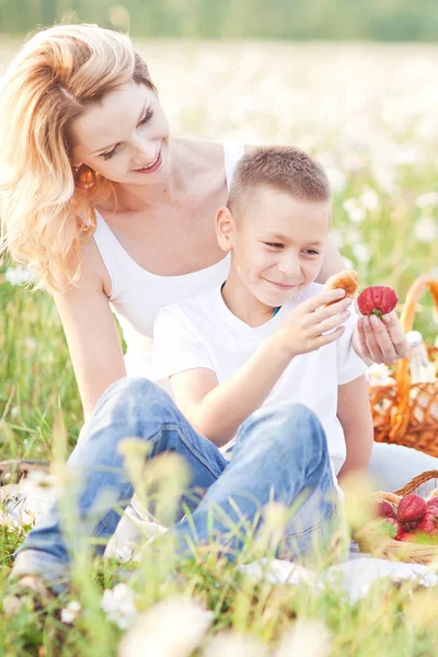 Matka pikniku z synem w dziedzinie kwiat camomi — Zdjęcie stockowe