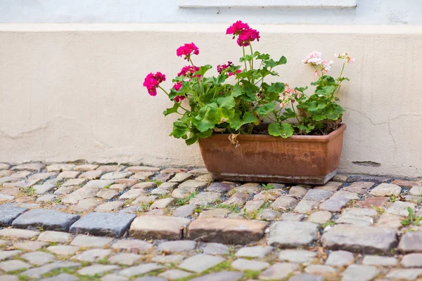 Street view of bucket with flowers in old town, Prague Europe — Stock Photo, Image