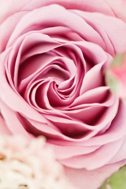 Düğün buketi, pembe Şakayık, orkide ve David Austin gül