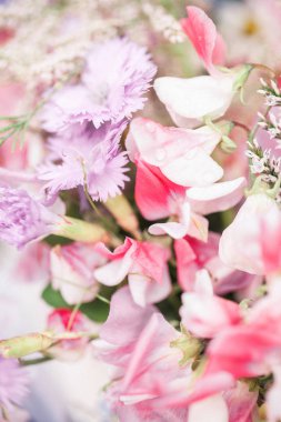 Bahçede güzel çiçek. Bahar ruh hali