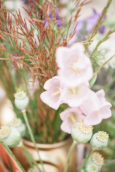 Hermosas flores en el jardín. Humor de primavera —  Fotos de Stock