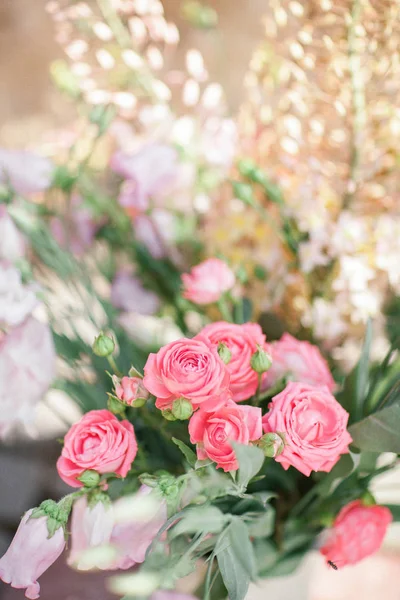 Prachtige bloemen in de tuin. Voorjaar Mood — Stockfoto