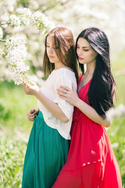 Dvě krásné dívky stojí v rozkvetlé zahradě, hrát hloupé a — Stock fotografie