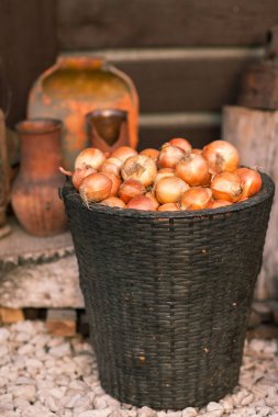 Vintage natürmort soğan ve sepeti