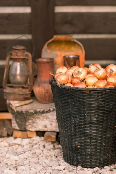 Vintage Zátiší s cibulí a košík — Stock fotografie