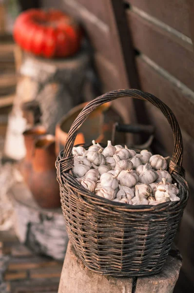 Bodegón vintage con cebolla y cesta —  Fotos de Stock