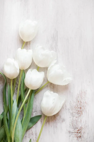 Weiße Tulpen auf Holz Hintergrund — Stockfoto