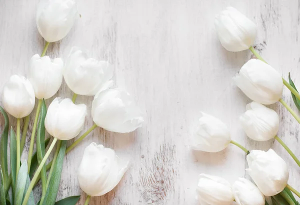 White tulips on wood background — Stock Photo, Image