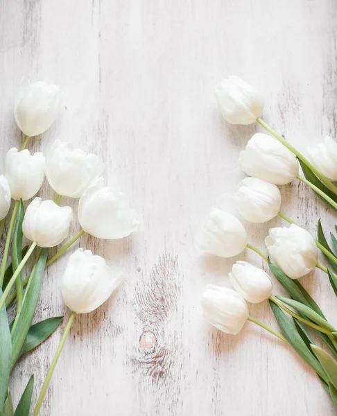 Белые тюльпаны на деревянном фоне — стоковое фото