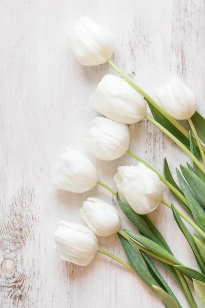 Белые тюльпаны на деревянном фоне — стоковое фото