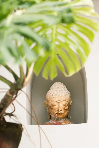 Estatua de Buda en hojas tropicales verdes —  Fotos de Stock