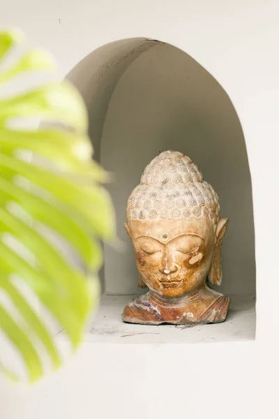 Estatua de Buda en hojas tropicales verdes —  Fotos de Stock