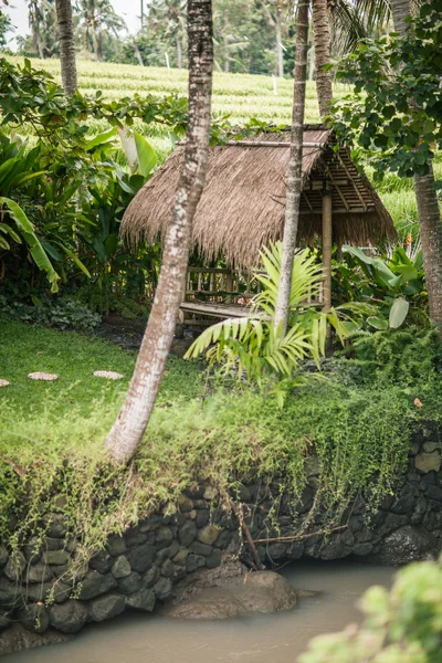 Straw bungalows in the rice fields — Stock Photo, Image