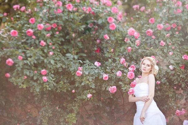 Krásná bruneta nevěsta poblíž kvetoucí Bush růže pózuje ve svatebních šatech — Stock fotografie
