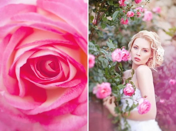 作品照片。美丽的黑发新娘附近开花布什玫瑰摆姿势穿婚纱的样子 — 图库照片
