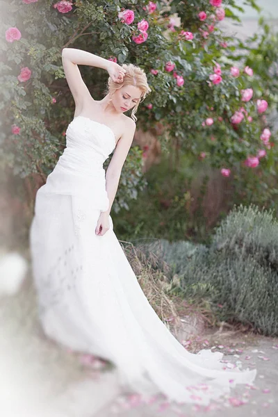 Belle mariée brune près d'une floraison Bush Roses posant dans une robe de mariée — Photo