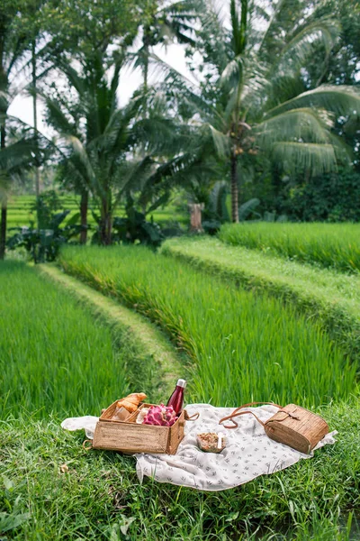 Picnic en el campo de arroz verde de Bali con fruta, cruasanes, cerveza —  Fotos de Stock