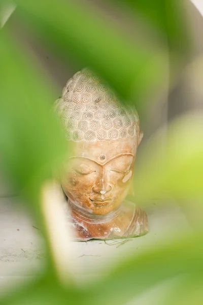 Buddha szobor zöld trópusi levelek — Stock Fotó