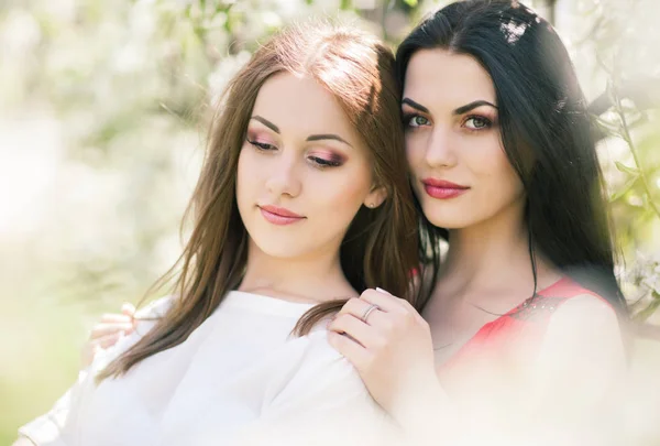 Duas meninas bonitas estão em um jardim florescente, jogar bobo e — Fotografia de Stock