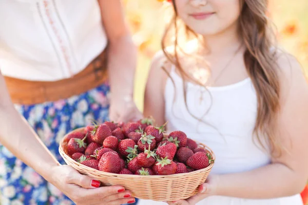 Klein meisje met mand met aardbei — Stockfoto