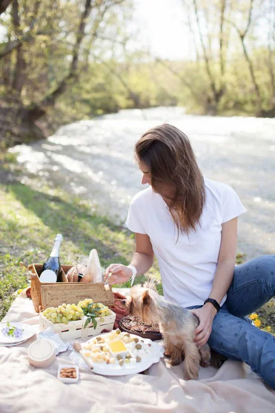Picnic on the grass near river on lazy summer day.  Young smiling woman with small dog relaxing on nature — Stock Photo, Image