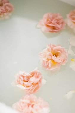 Süt ve gül yaprakları ile beyaz banyo. Gevşeme ve uyum