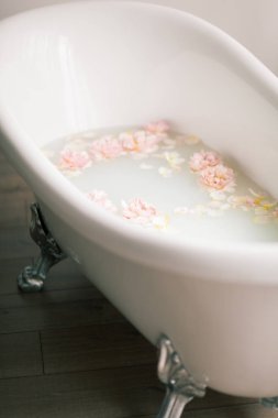 Süt ve gül yaprakları ile beyaz banyo. Gevşeme ve uyum