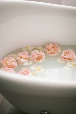 Süt ve gül yaprakları ile beyaz banyo. Gevşeme ve uyum