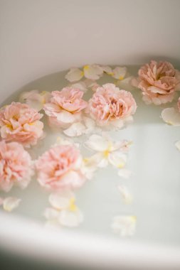 Süt ve gül yaprakları ile beyaz banyo. Gevşeme ve uyum