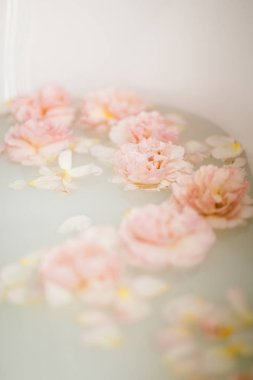 Süt ve gül yaprakları ile beyaz banyo. Gevşeme ve uyum