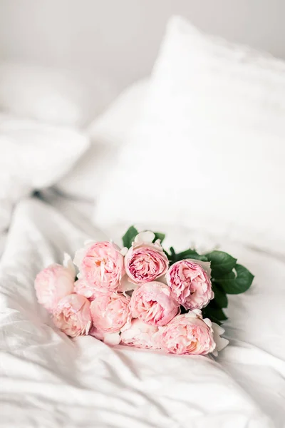 Pionenförmige rosa Rosen liegen auf weißen Laken. Morgenstimmung — Stockfoto