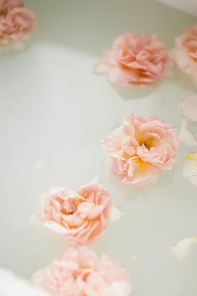 White bath with milk and rose petals. Relaxation and harmony — Stock Photo, Image