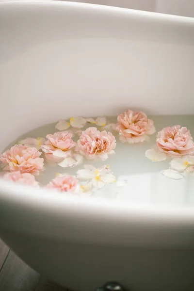 Белая ванна с молоком и лепестками роз. Расслабление и гармония — стоковое фото