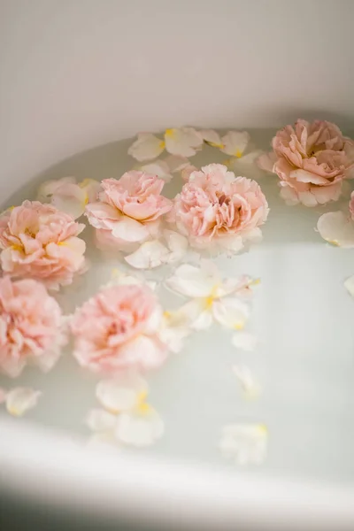 White bath with milk and rose petals. Relaxation and harmony — Stock Photo, Image