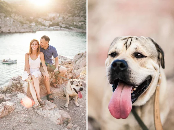 Casal de caras brincando com seu cão na montanha perto do oceano — Fotografia de Stock