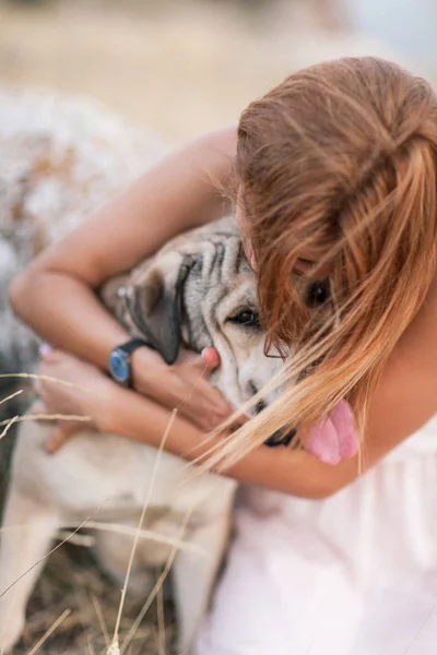 Jovem caucasiana caminhando com o cão durante o nascer do sol Imagens Royalty-Free