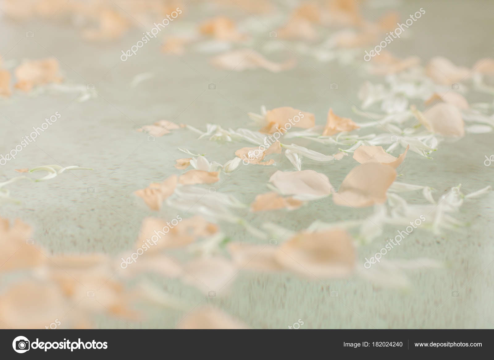 Bagno Luminoso Casa Bagno Con Petali Fiori Sale Vassoio Sopra — Foto ... Bagno Luminoso Casa Bagno Con Petali Fiori Sale Vassoio Sopra — Foto ...
