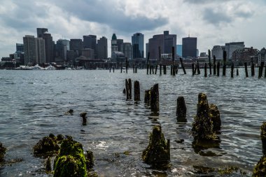 Boston şehir manzarası arka planda, Usa