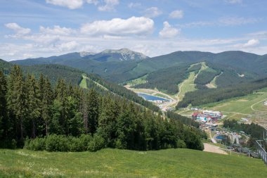Dağ tepeleri ve büyük ormanlar