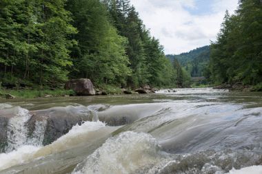 Sessiz küçük nehir ahşap