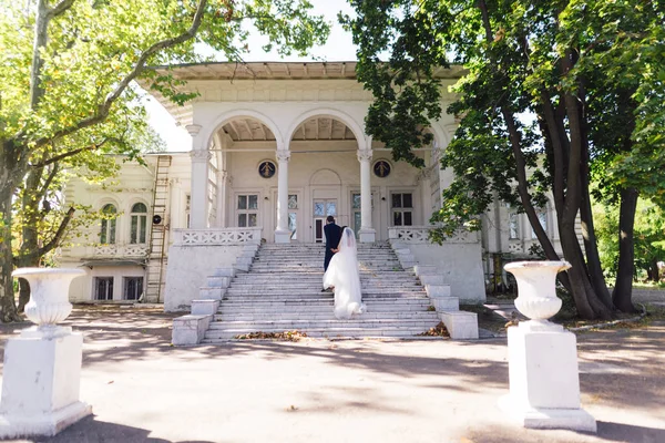 Наречений і наречений піднімаються по сходах — стокове фото