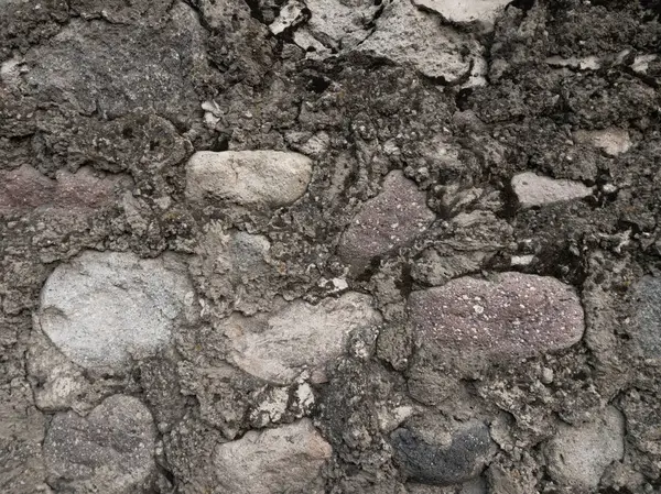 Bataklıkta büyük taşlar, arka planda gri doku. — Stok fotoğraf