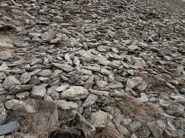 Banyak batu bertekstur di rumput kering di latar belakang — Stok Foto
