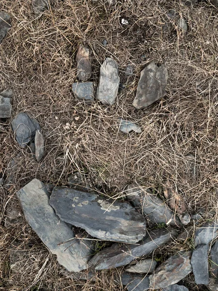 De achtergrond van grote stenen in geel gras — Stockfoto