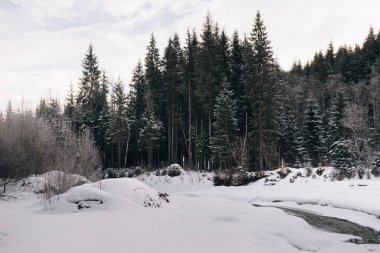 Kar ve orman yakın, donmuş nehrin yanında.