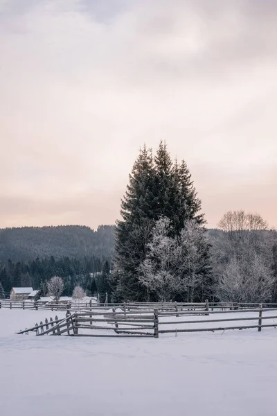 Beautiful winter landscape at sunset, in the background of the f — Stock Photo, Image